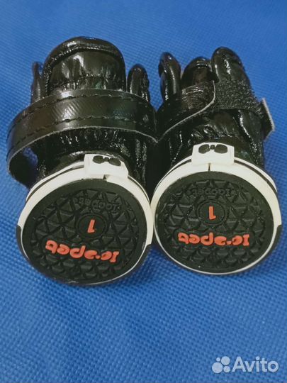 Ботинки для маленькой собаки