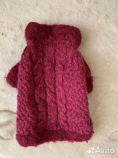 Одежда для собак