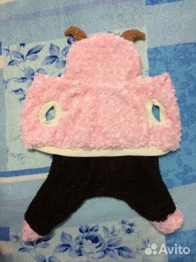 Одежда для собак