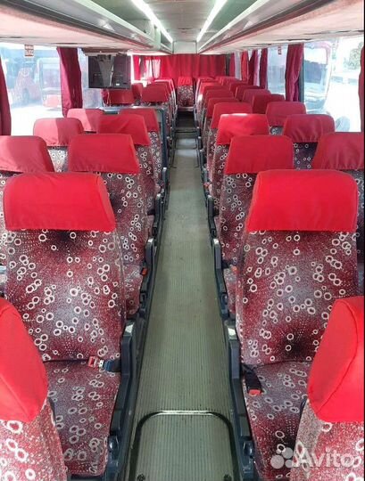 Заказ автобуса на 50 мест