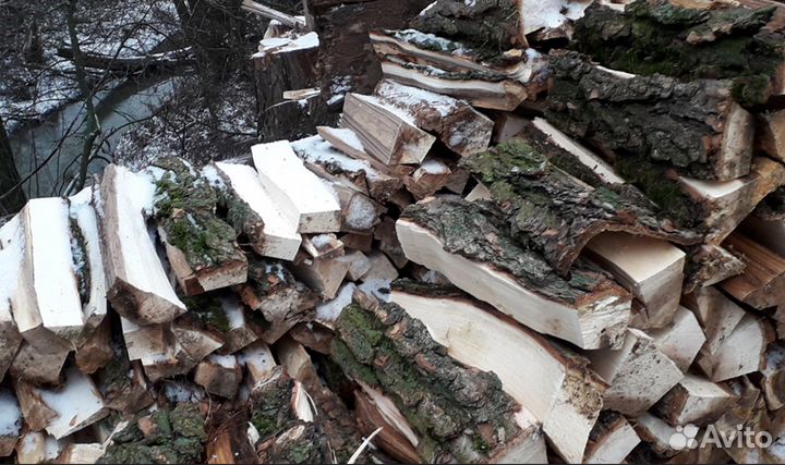 Дрова береза