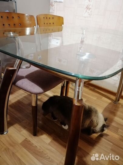 Стол со стульями бу