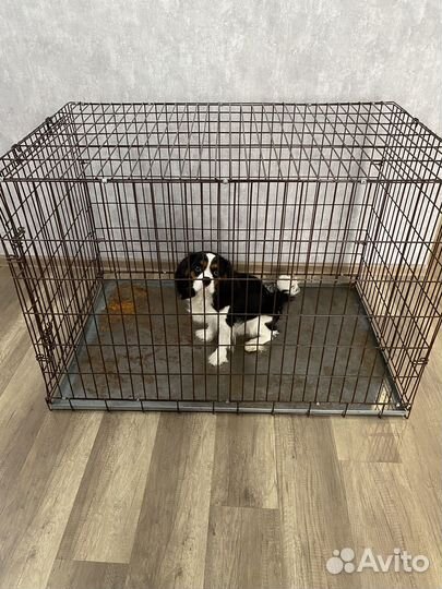 Клетка для собак (вольер)