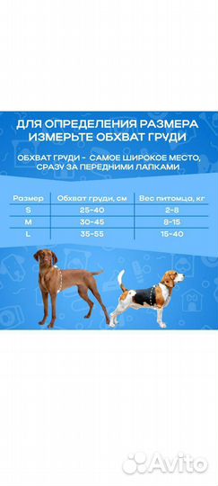 Шлейка с поводком