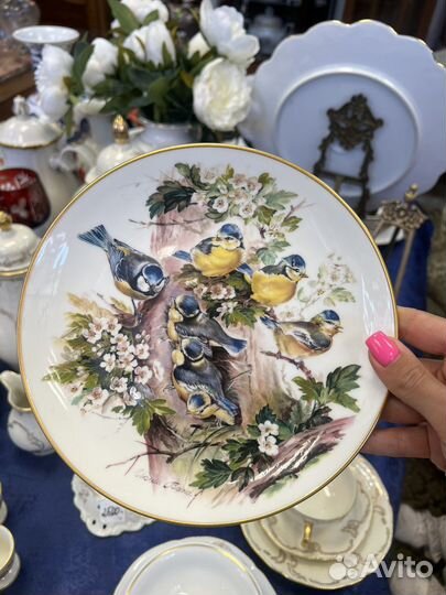 Декоративные настенные тарелки Ursula Band