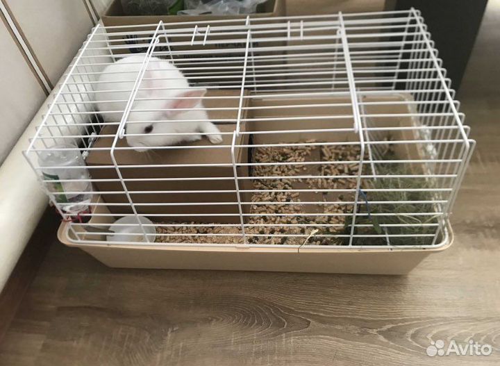 Клетки новые большой выбор