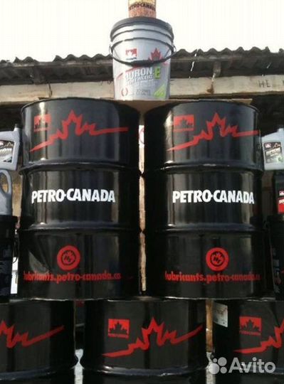 Моторное масло petro-canada 10w30 оптом