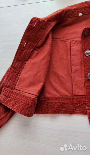 Ветровка для девочки