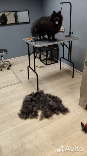 Экспресс линька, груминг собак и кошек