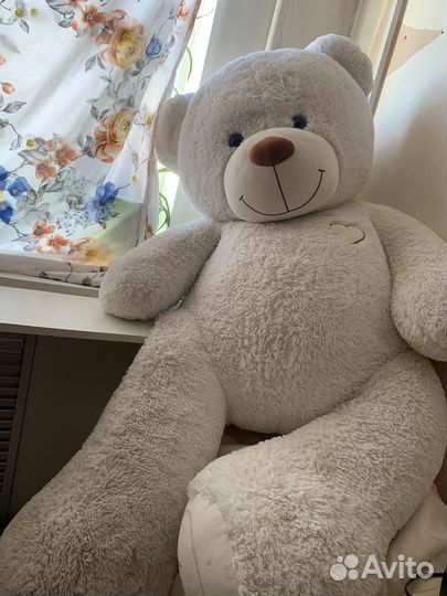 Плюшевый медведь