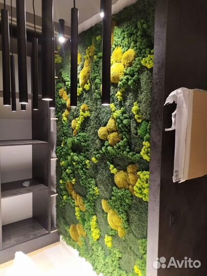 Панели из стабилизированного мха