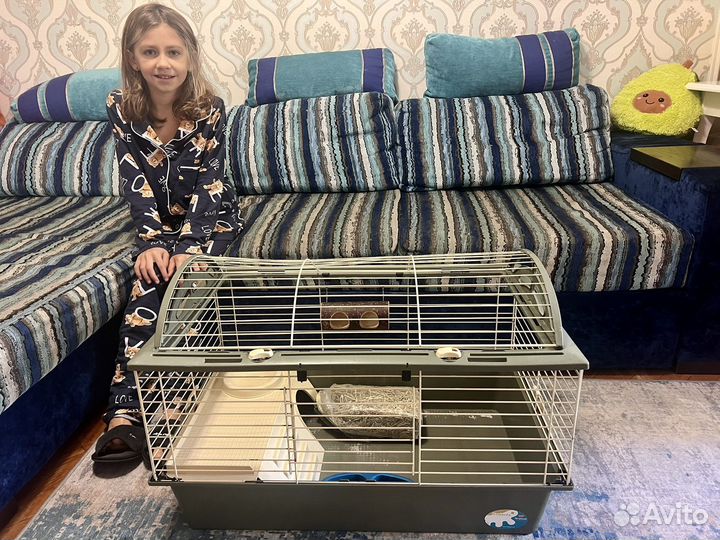 Клетка для декоративного кролика, морской свинки