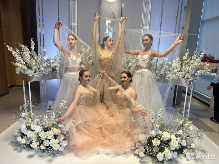 Шоу-балет, танцевальное шоу, танцы