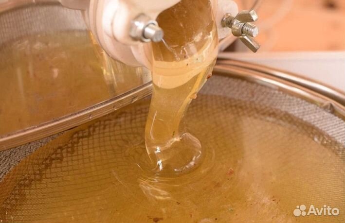 Мёд натуральный с Алтая оптом min 16kg