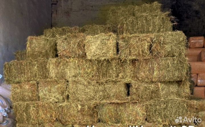 Сено луговое в тюках