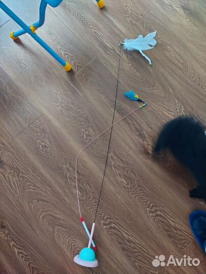 Набор для котенка