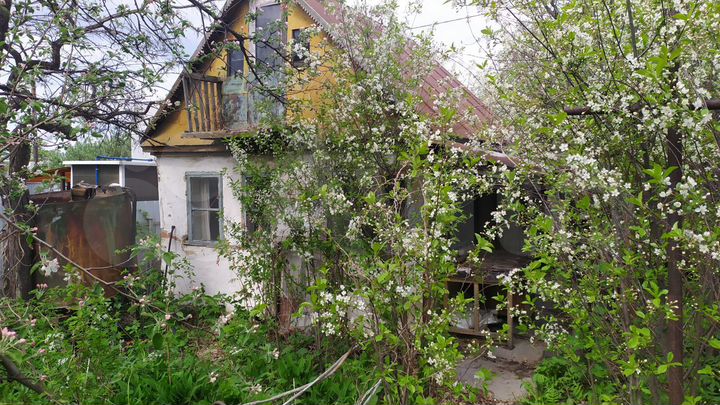 Дача 20 м² на участке 4 сот.