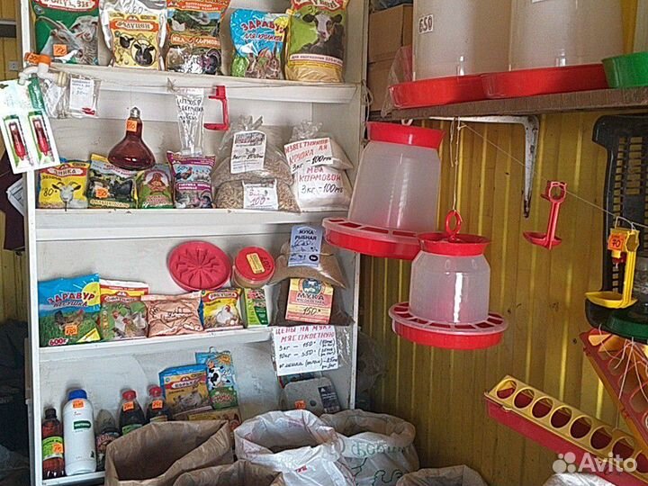 Комбикорм Маркорм - Глазовский - Богданович. Зерно