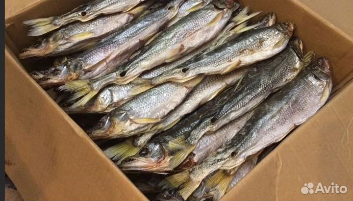 Корюшка вяленая