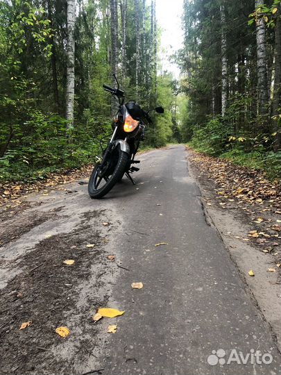 Irbis gs 150