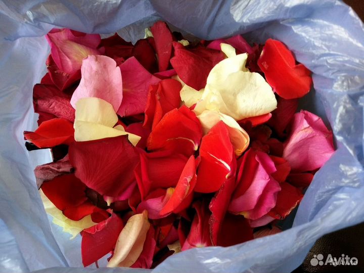 Лепестки роз