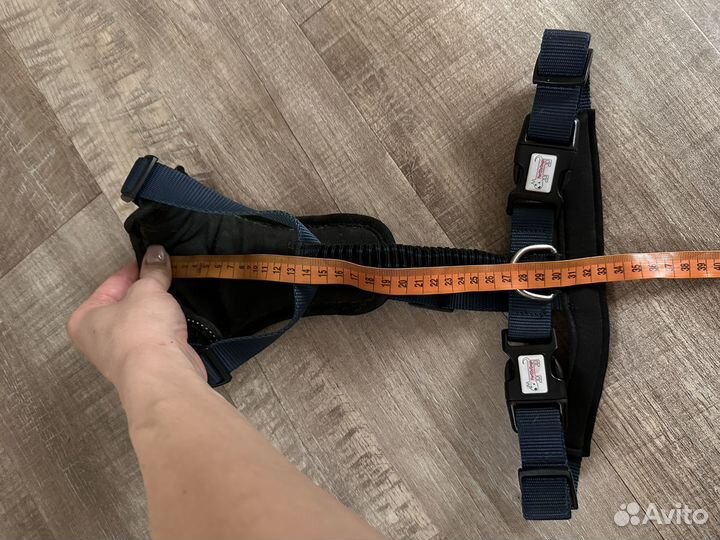 Шлейка для собак