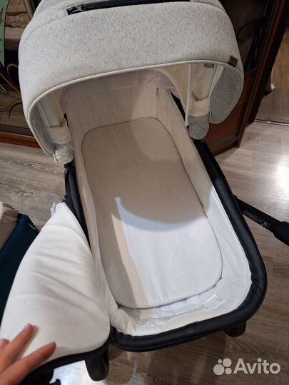 Коляска adamex Reggio 2в1