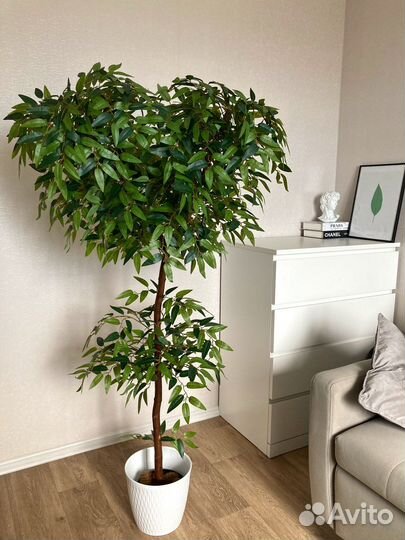 Искусственные цветы и деревья