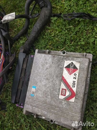 Гбо 4 поколения прямой впрыск