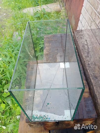 Аквариумные рыбки