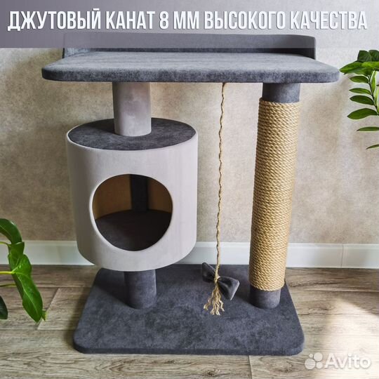 Когтеточки