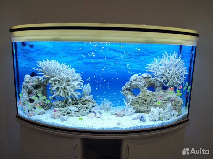 Обслуживание, перезапуск, перевозка аквариумов