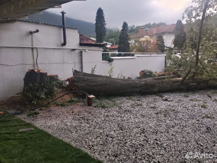 Спил деревьев Расчистка участков