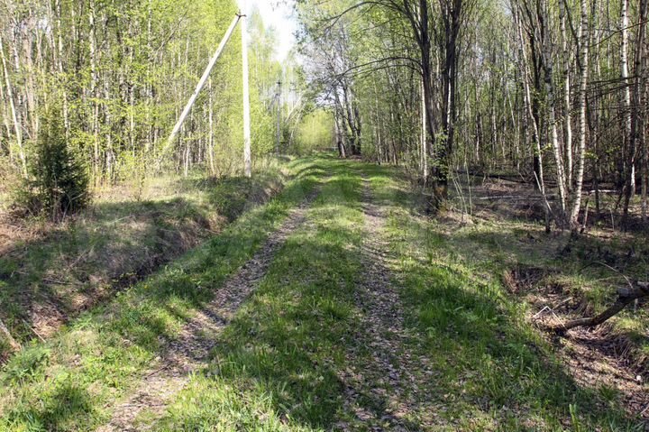 Участок 15 сот. (СНТ, ДНП)