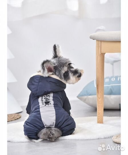 Одежда для собаки