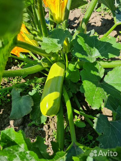 Работа разноробочий с проживанием