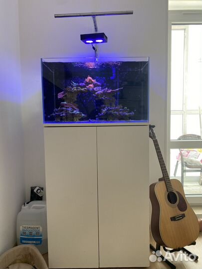 Морской аквариум