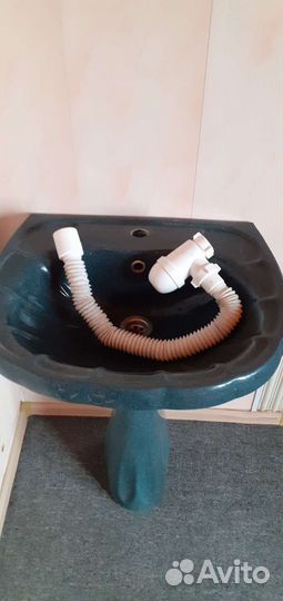 Раковина тюльпан