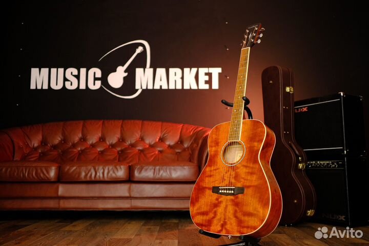 Акустическая гитара Parkwood (Комплект)