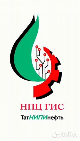 Инженер-программист в татнипинефть
