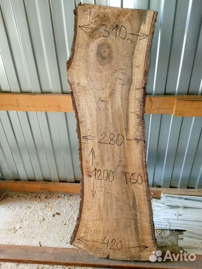 Слэб ореха грецкого