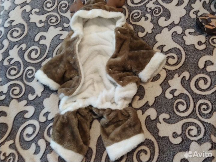 Одежда для животных