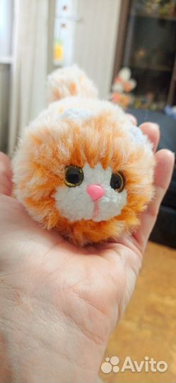 Меховые котики