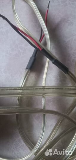 Monster Xp-Hp.Van Den Hul