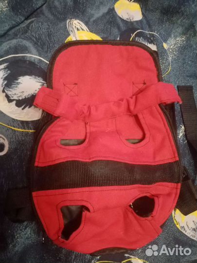 Товары для животных