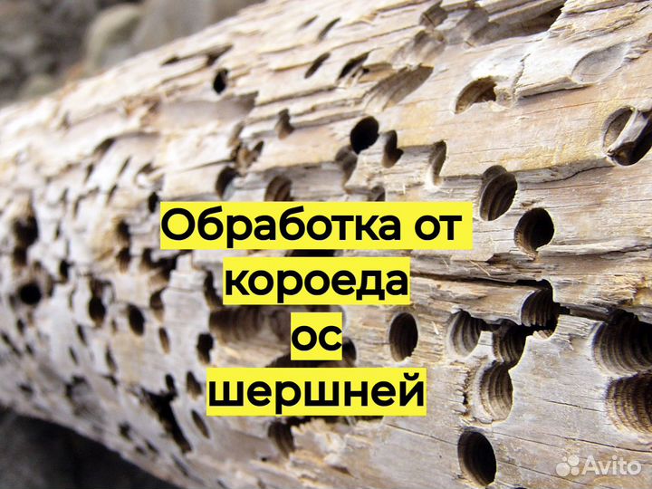 Уничтожение тараканов клопов обработка комаров ос