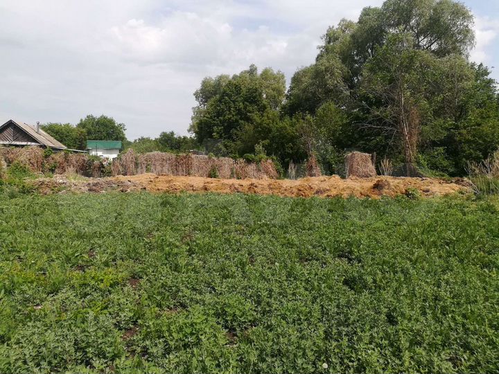 Участок 43,6 сот. (СНТ, ДНП)