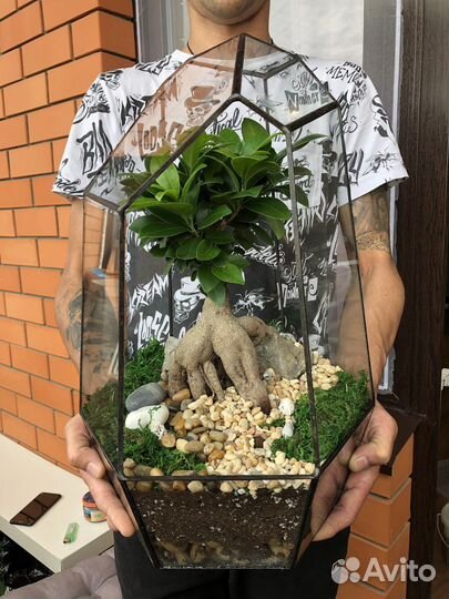 Подарок. Флорариум. Цветы. Растение