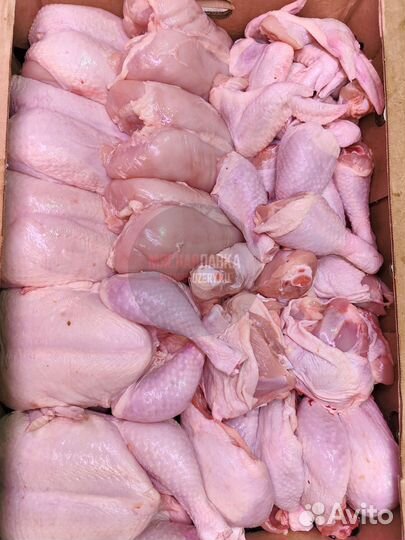 Мясо курицы