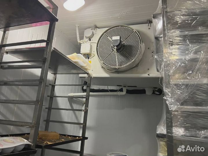 Холодильная камера Промышленная